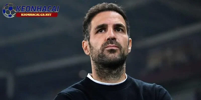 Cesc Fabregas tiếp tục từ chối làm thuyền trưởng của đội bóng lớn